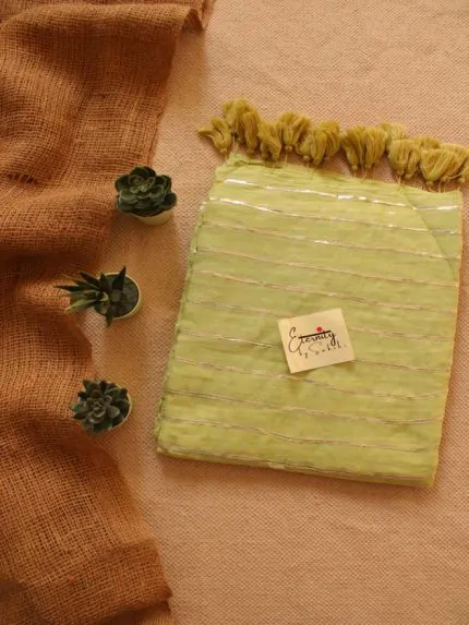 Green Rangrez saree