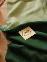 Pista Green Ombre Saree
