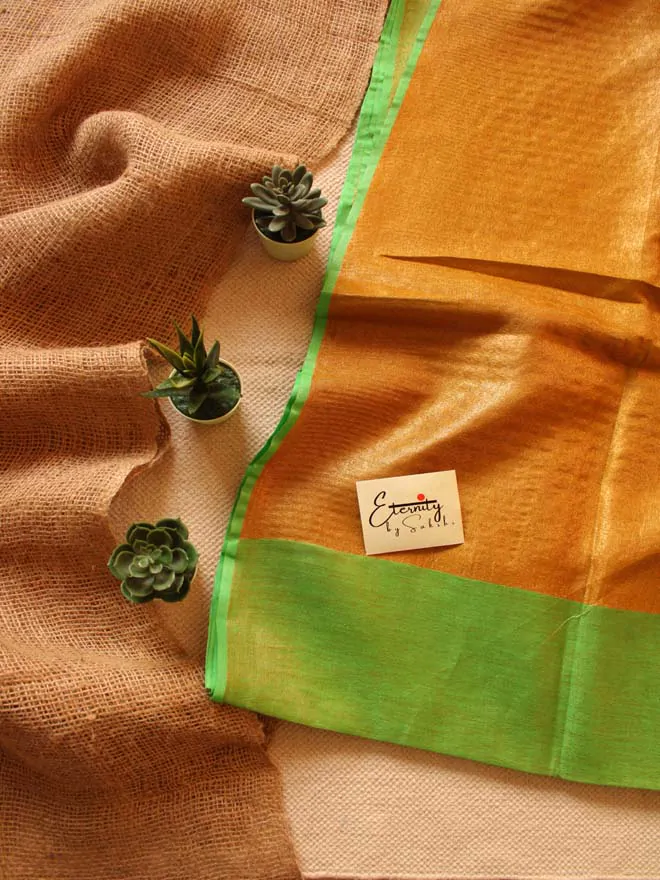 Green Paradise Saree