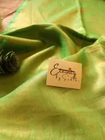 Green Paradise Saree
