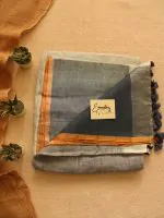 Eklavya Metallic Sari