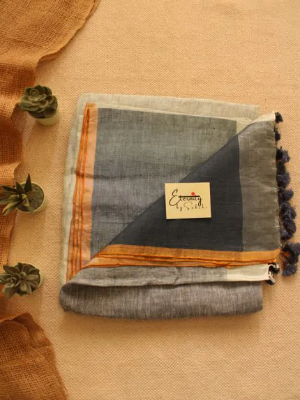 Eklavya Metallic Sari