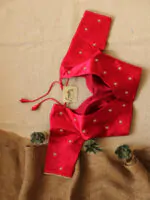 Navratri Blouse 19