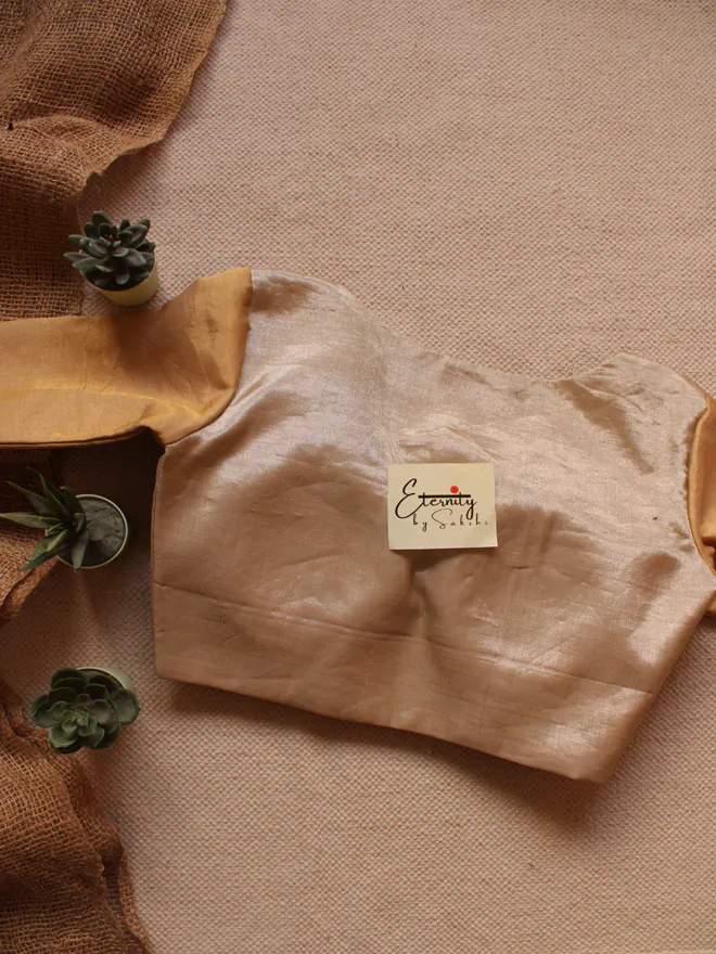 Silver Gold Zari Blouse