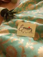 Aqua Blue Handwoven Silk Banarasi Saree
