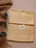 Handwoven Nude Tissue Banarasi Saree