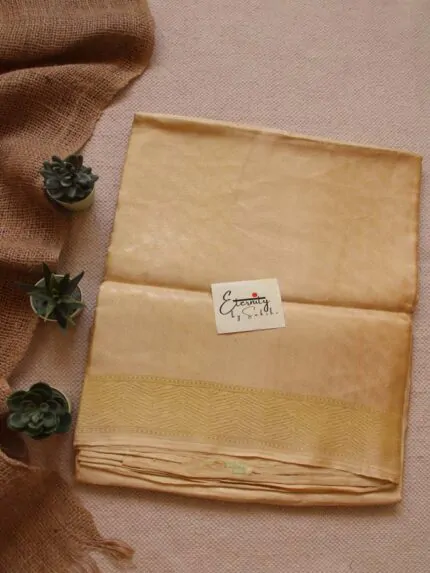 Handwoven Nude Tissue Banarasi Saree