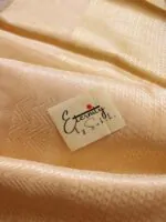 Handwoven Nude Tissue Banarasi Saree