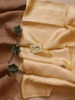 Handwoven Nude Tissue Banarasi Saree