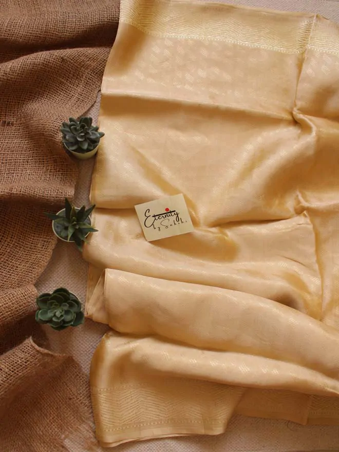 Handwoven Nude Tissue Banarasi Saree