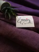 Purple Stripes Tussar Saree